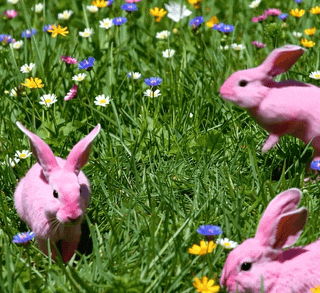 Generative AI Content